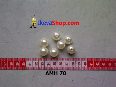 AMH 70  large2